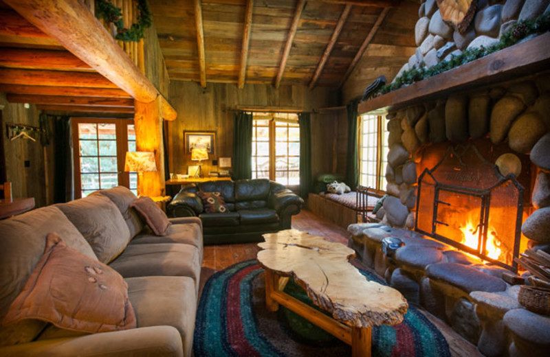 Cabin living room at Wellspring.