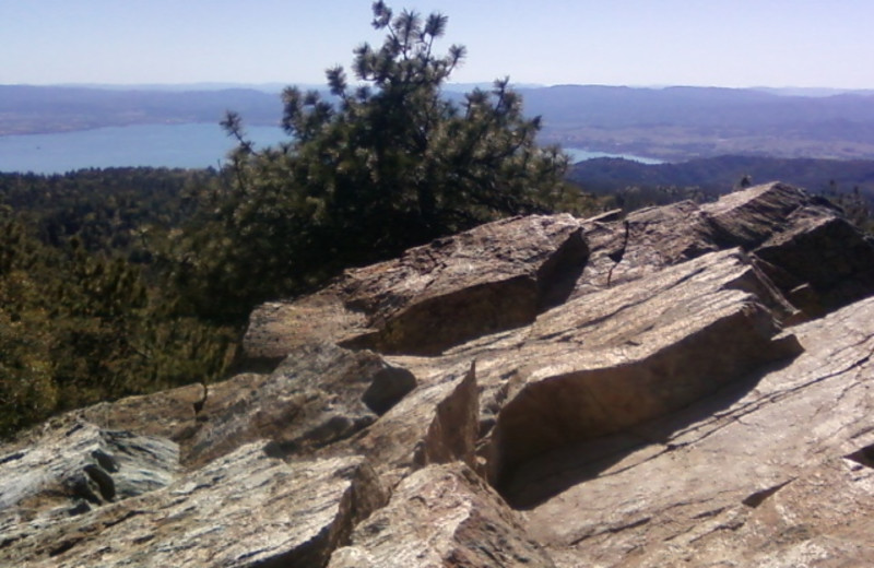 Scenic view at Precious Forest.