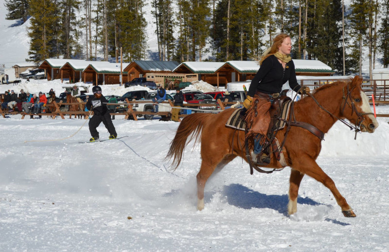 Winter at 320 Guest Ranch.