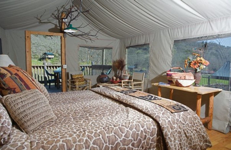 hotels near safari west santa rosa