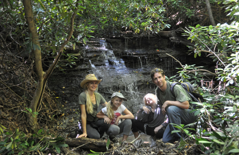 Waterfall at Singletree Gun & Plough.