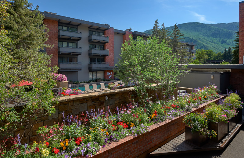 View of pool area