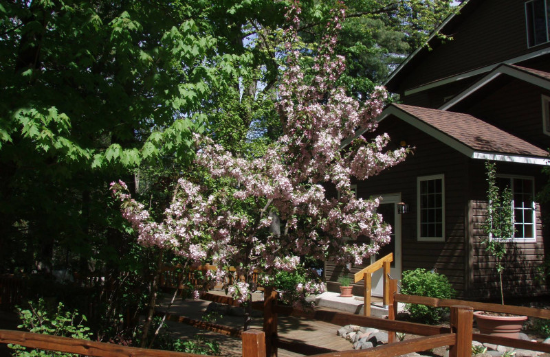 Cabin exterior at White Birch Village Resort.