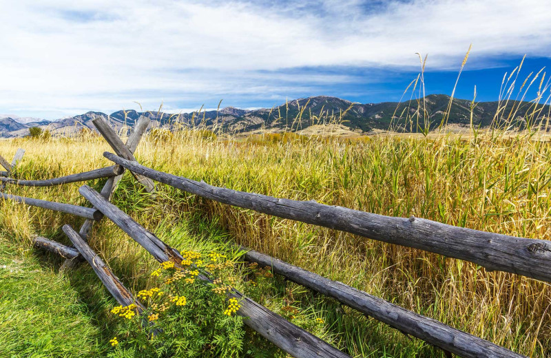 Scenic view at Hardscabble Ranch.