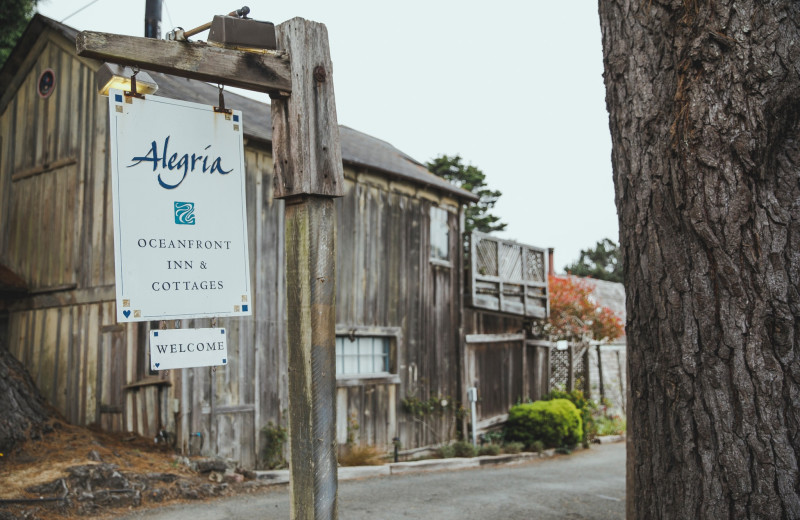 Exterior view of Alegria Oceanfront Inn & Cottages.