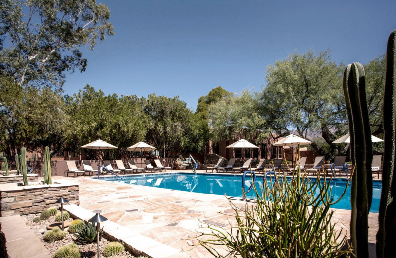 Outdoor pool at Canyon Ranch Health Resort.