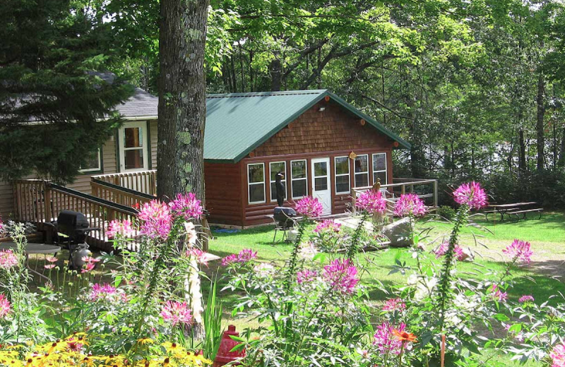 Cabin exterior at Mystic Moose Resort.