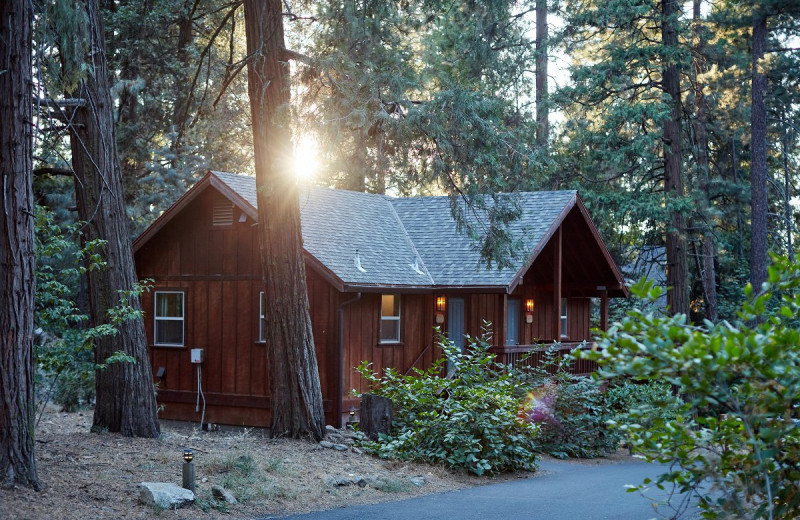 Cabin exterior at Evergreen Lodge Yosemite.