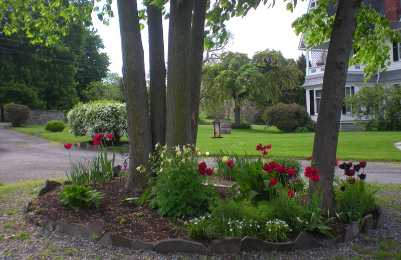 Garden at The Fox and The Grapes Bed and Breakfast.