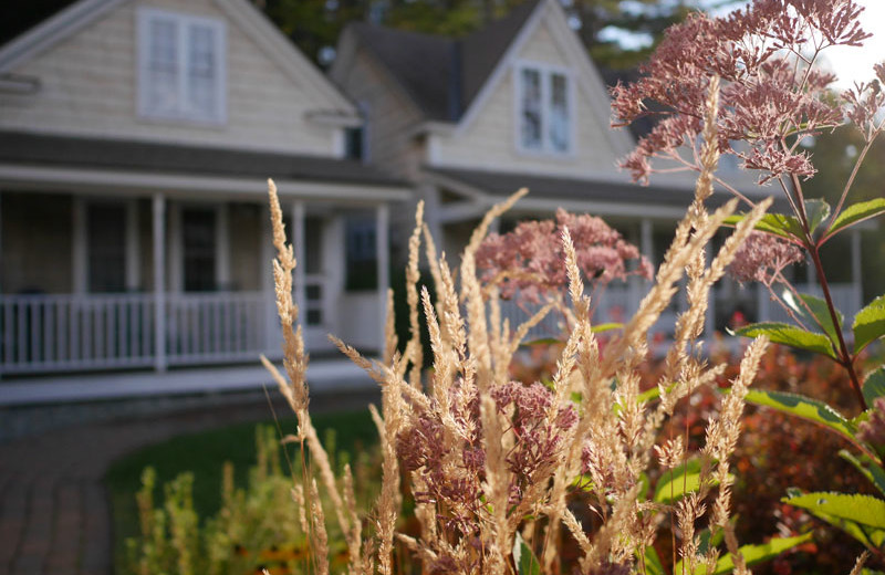 Cottages at Sunapee Harbor Cottages.