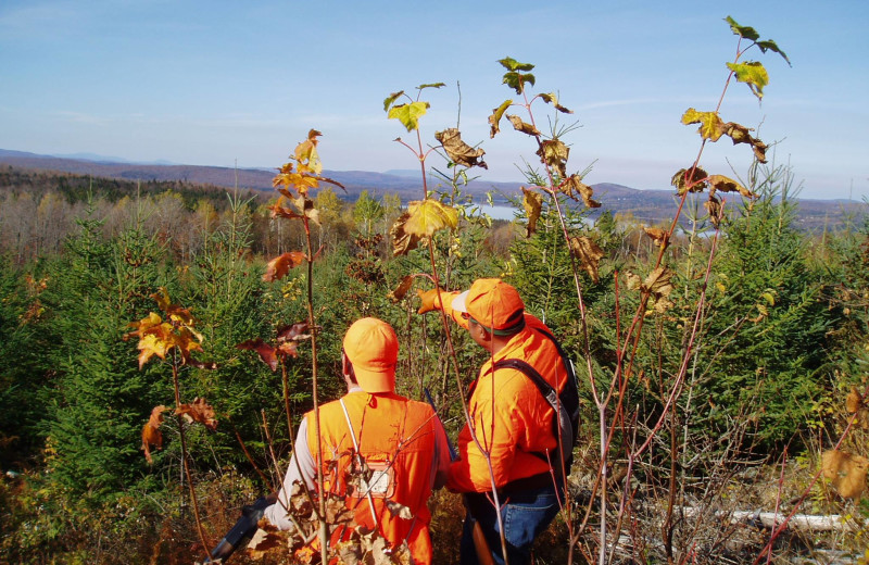 Hunting at Cabins at Lopstick.