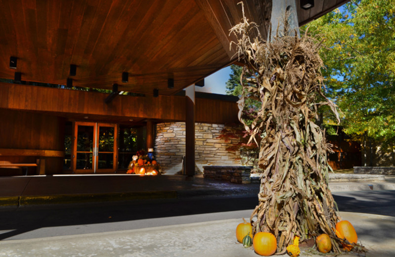 Fall at UAW Black Lake.