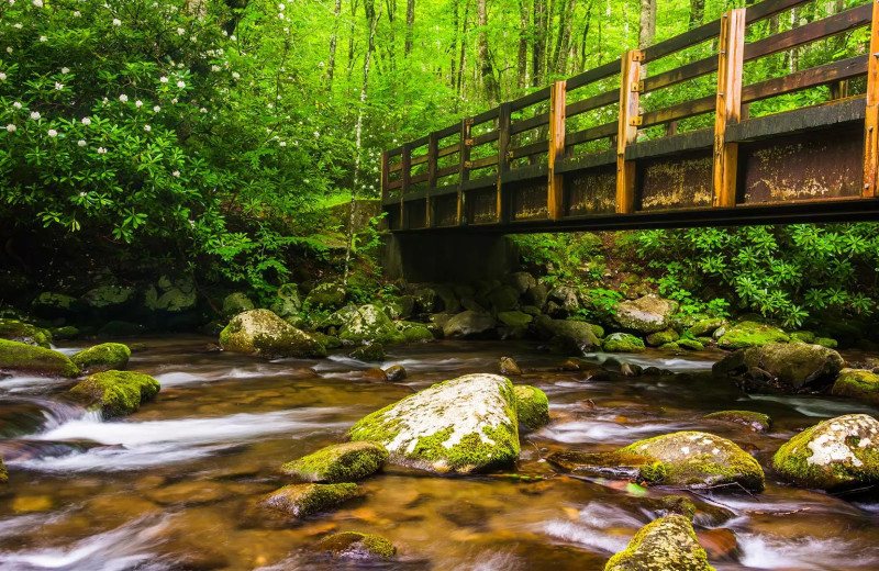 Bridge at Huskey Rentals.