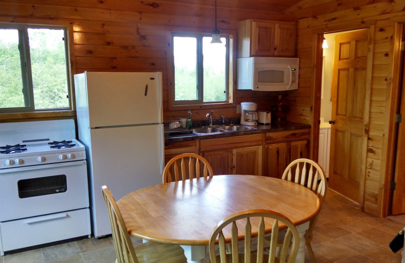 Cabin kitchen at Bliss Point Resort.