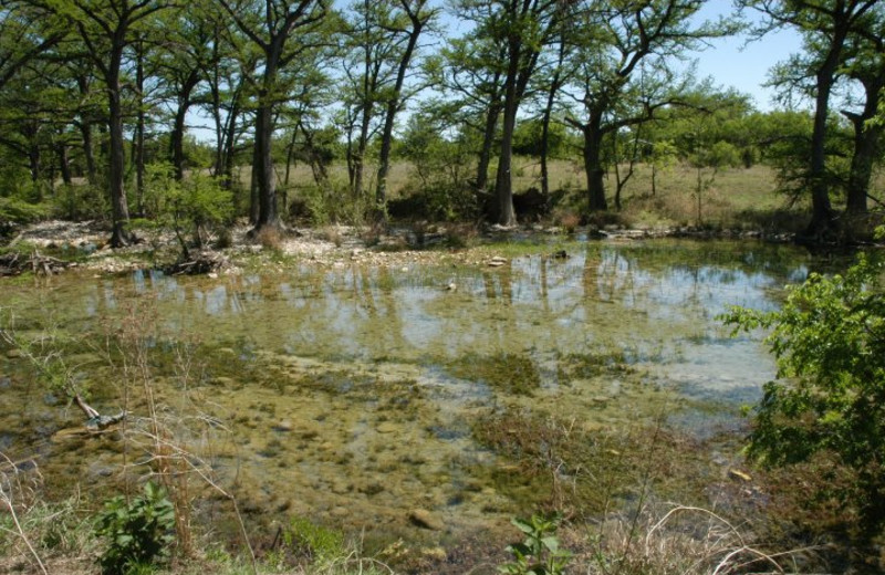 View of the river at Utopia on the River.