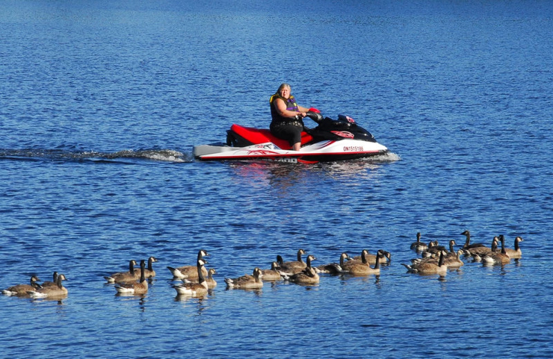 Paddle boat at Bayview Wildwood Resort.