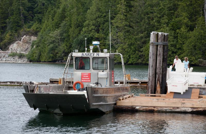 Water taxi at Sechart lodge.