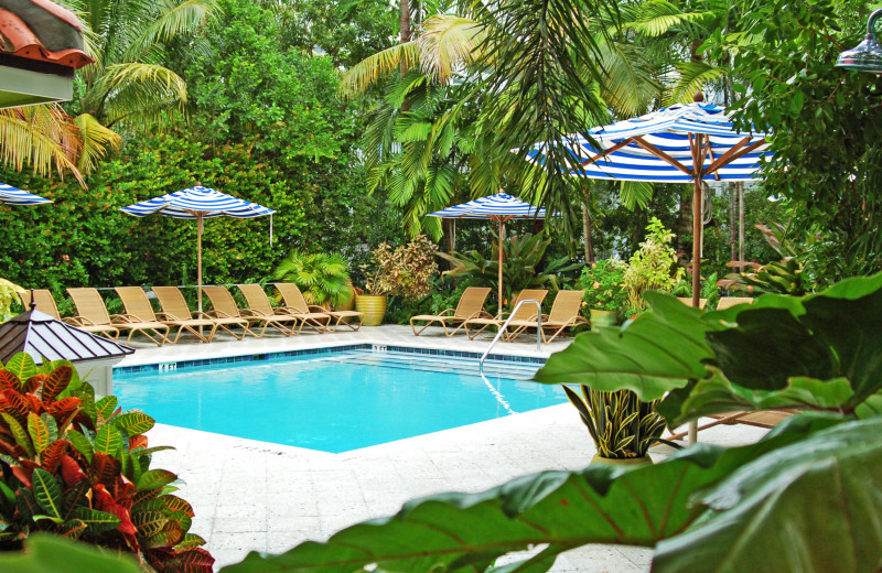 Outdoor pool at Parrot Key Resort.