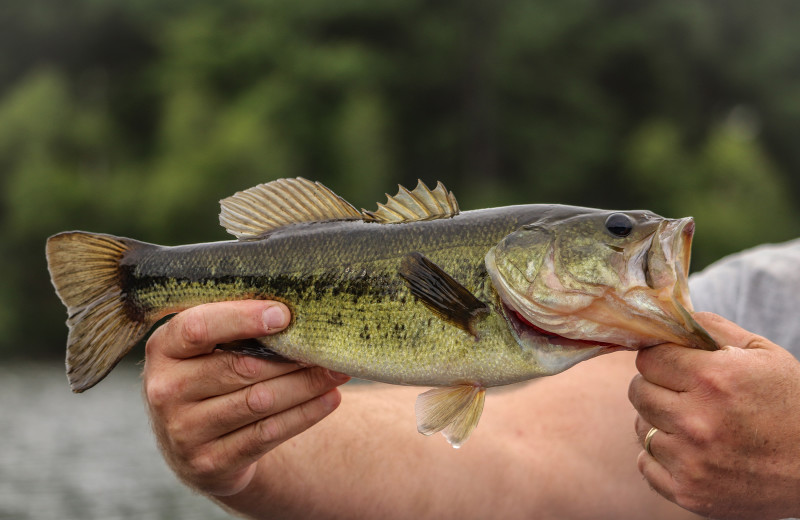 Fishing at Caryonah Hunting Lodge.