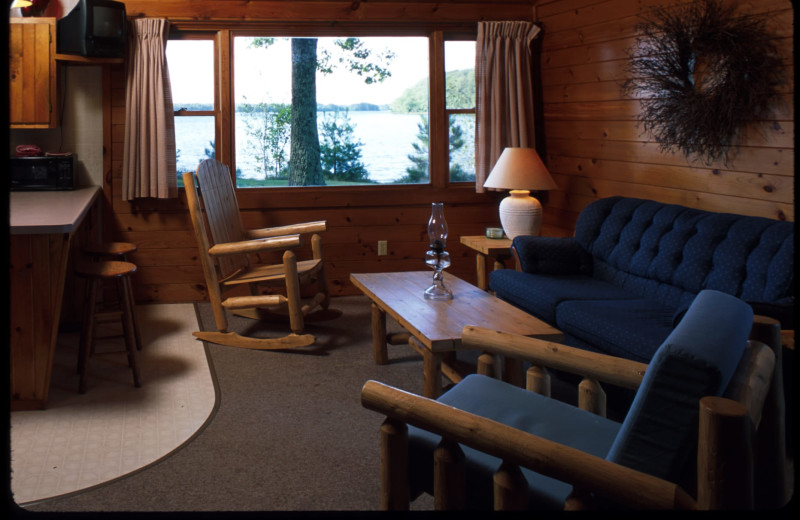 Cabin living room at Pitlik's Sand Beach Resort.