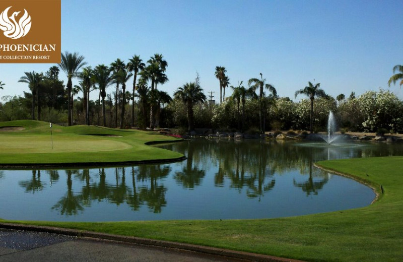 Golf Course at The Phoenician