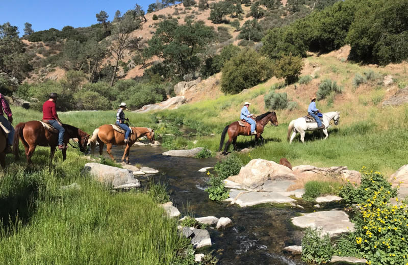 Horseback riding at Rankin Ranch.