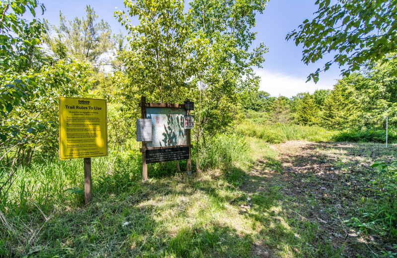 Trail at Taboo Muskoka.