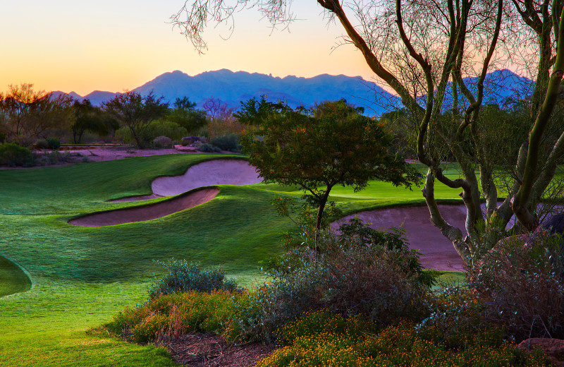 Golf course at JW Marriott Desert Ridge.
