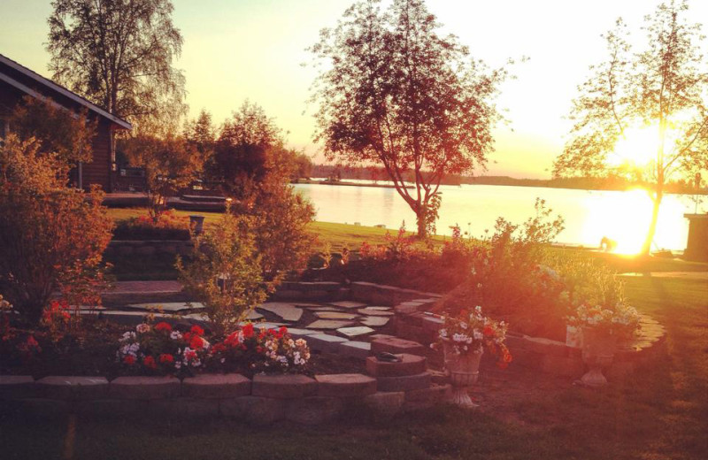 Garden at Alaska Sunset View Resort.