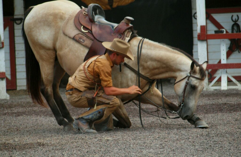 Rider and horse at A Tennessee Guest Ranch.