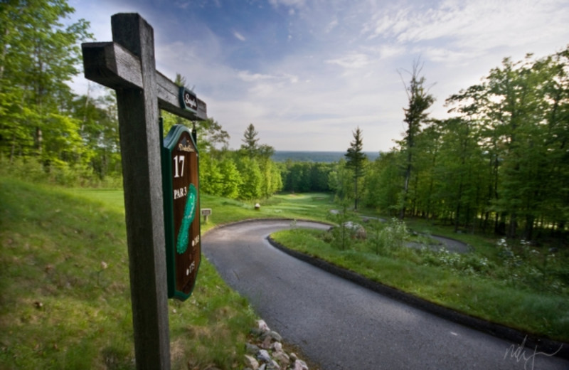 Hole 17 at Pine Mountain Resort