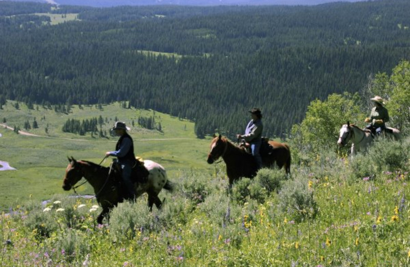 Room with a View at Nine Quarter Circle Ranch