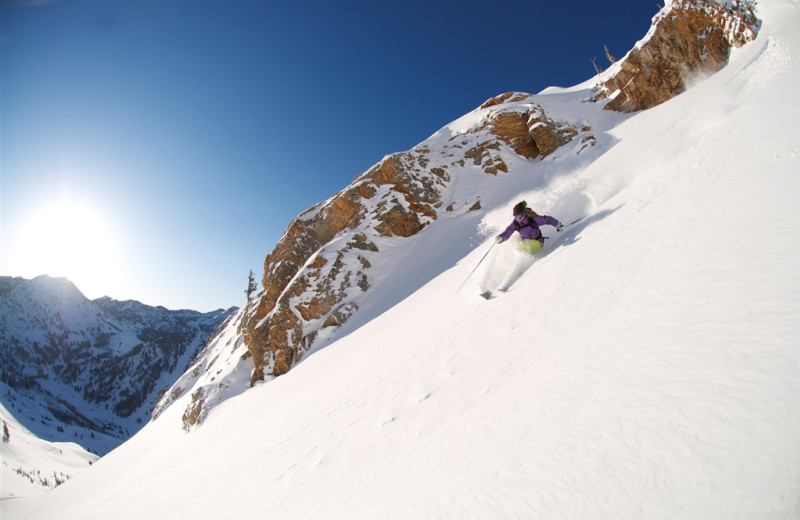 Wasatch Back Country at Snowpine Lodge.