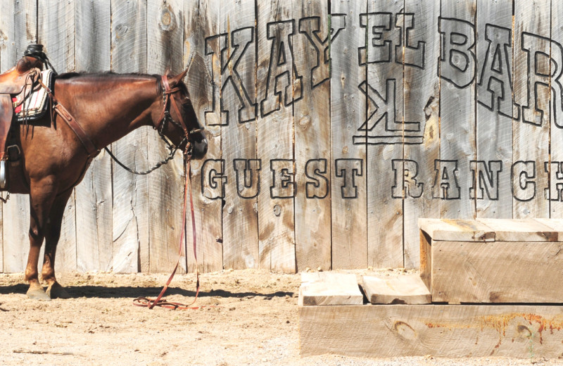 Authentic & Intimate Western Dude Ranch