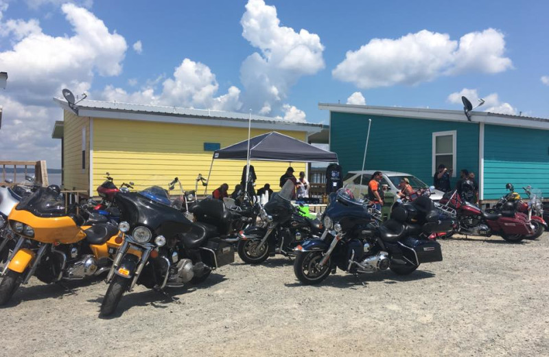 Groups at D'Arbonne Pointe.