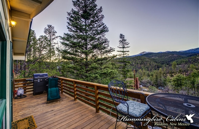 View from private deck at Hummingbird Cabins - Skyline Cabin Vacation Rental