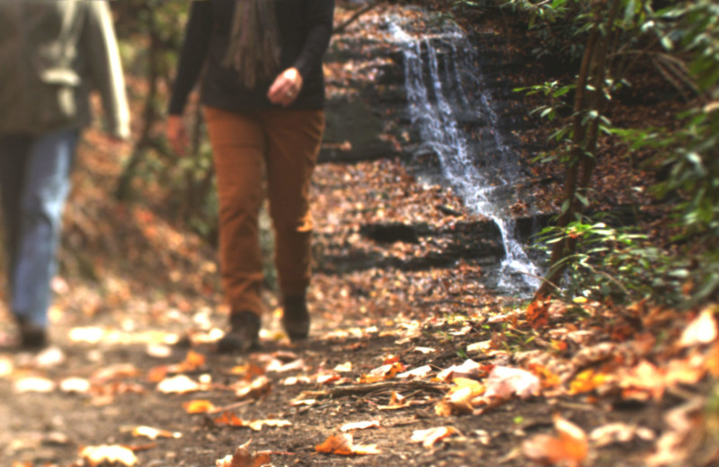 Hiking at Watershed Resort.