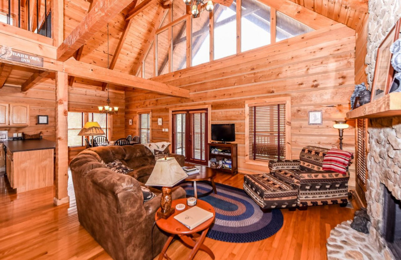 Rental living room at Dogwood Cabins LLC.