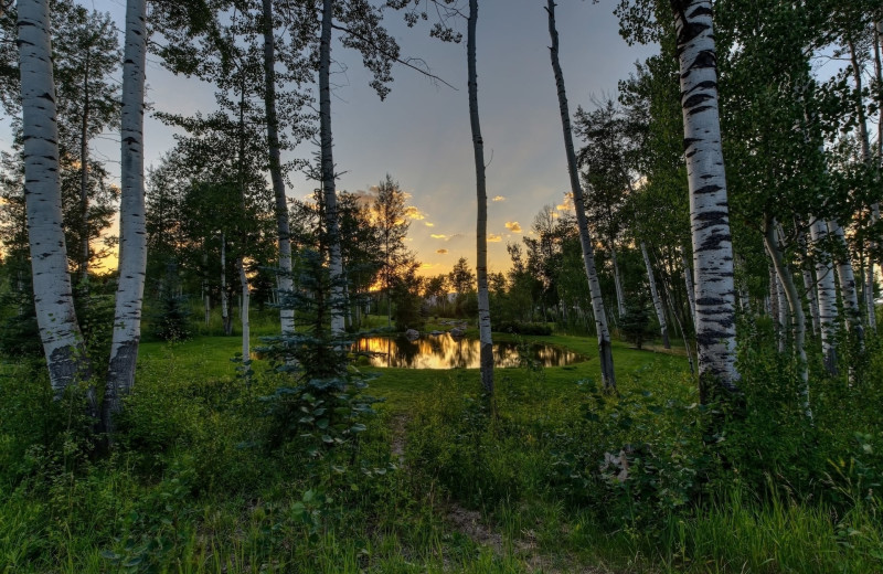 Scenic view at Teton Springs Lodge.