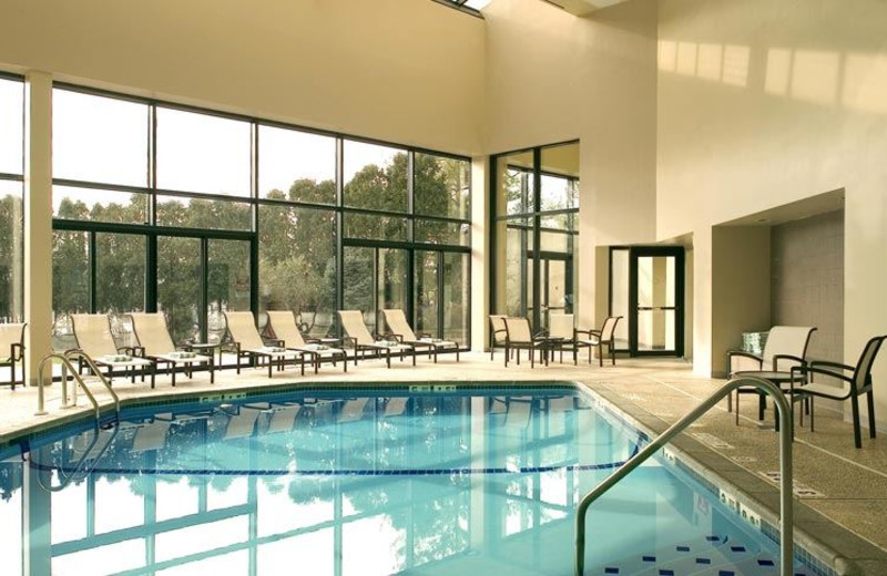 Indoor Swimming Pool at Sheraton Edison Hotel Raritan Center