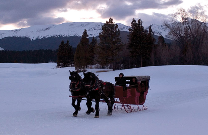 Sleigh ride at Breckenridge Discount Lodging.