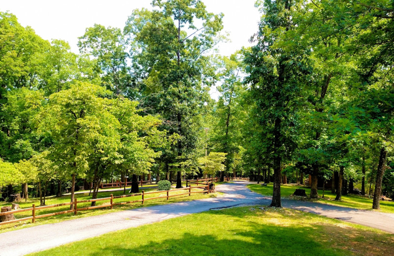 Grounds at Lake Forest Luxury Log Cabins.