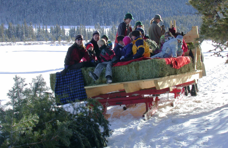 Sleigh ride at Vista Verde Ranch.