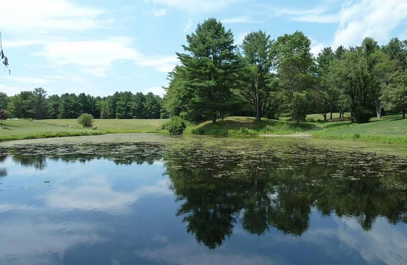 Scenic view at Baumann's Brookside Summer Resort.