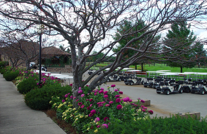 Golf carts at Lakewood Shores Resort.