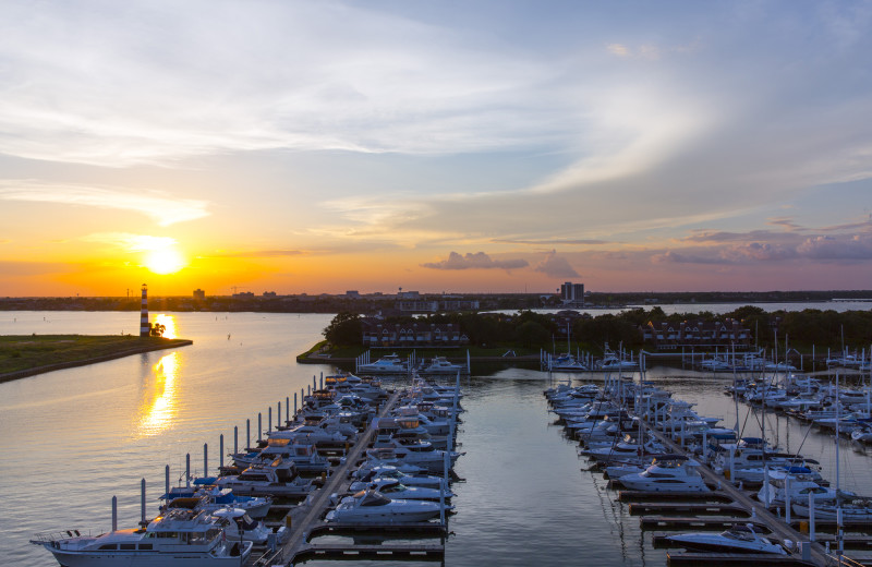 Marina at South Shore Harbour Resort & Conference Center.