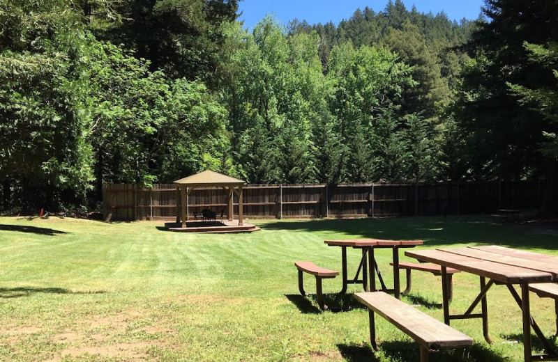 Picnic area at Redwood Resort.