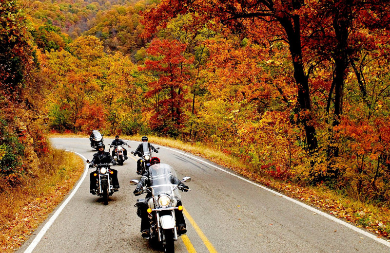 Riding near Lake Forest Luxury Log Cabins.