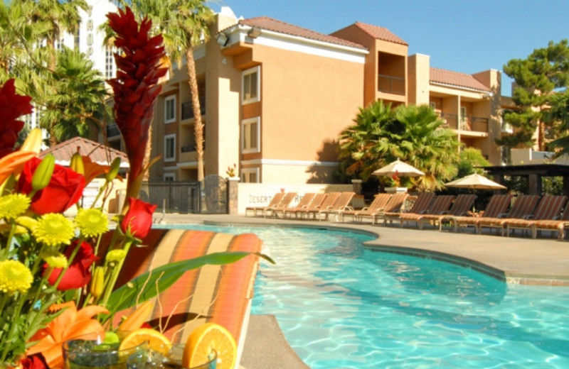 Outdoor pool at Desert Rose Resort.