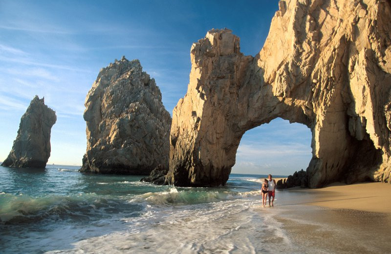 Ocean View at Barcelo Los Cabos